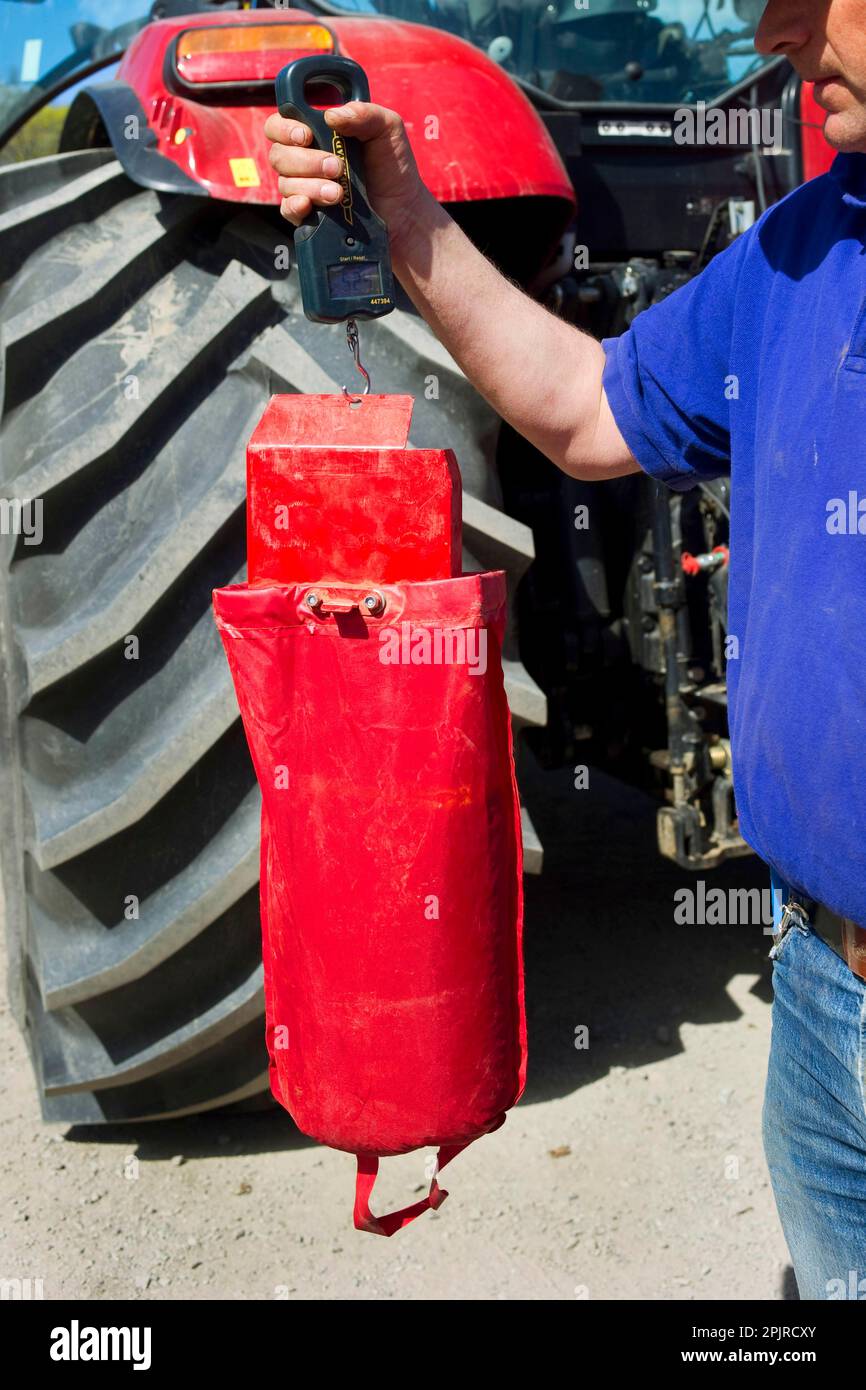 Farmer checking how much to sow on the Vaderstad Rapid A 600S seed drill, Upplands Vasby, Sweden Stock Photo