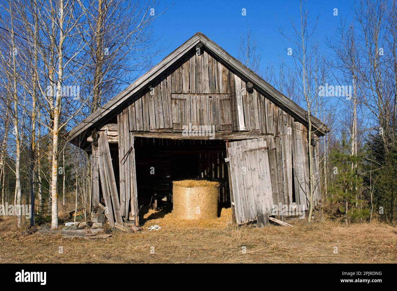 Backward barn, with round bales of straw, Sweden Stock Photo - Alamy