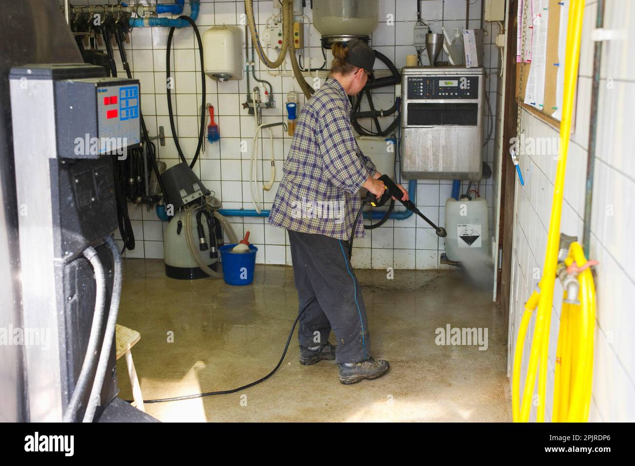 Dairy farmers clean milking parlour with high-pressure cleaner after morning milking, Tierp, Sweden Stock Photo