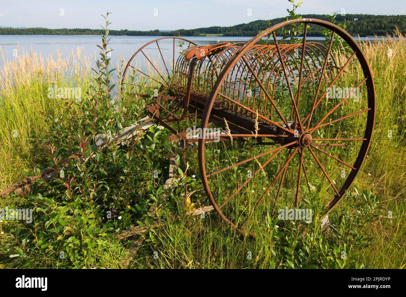 Rusty old-fashioned horse-drawn hay rake, at the water's edge, Sweden ...