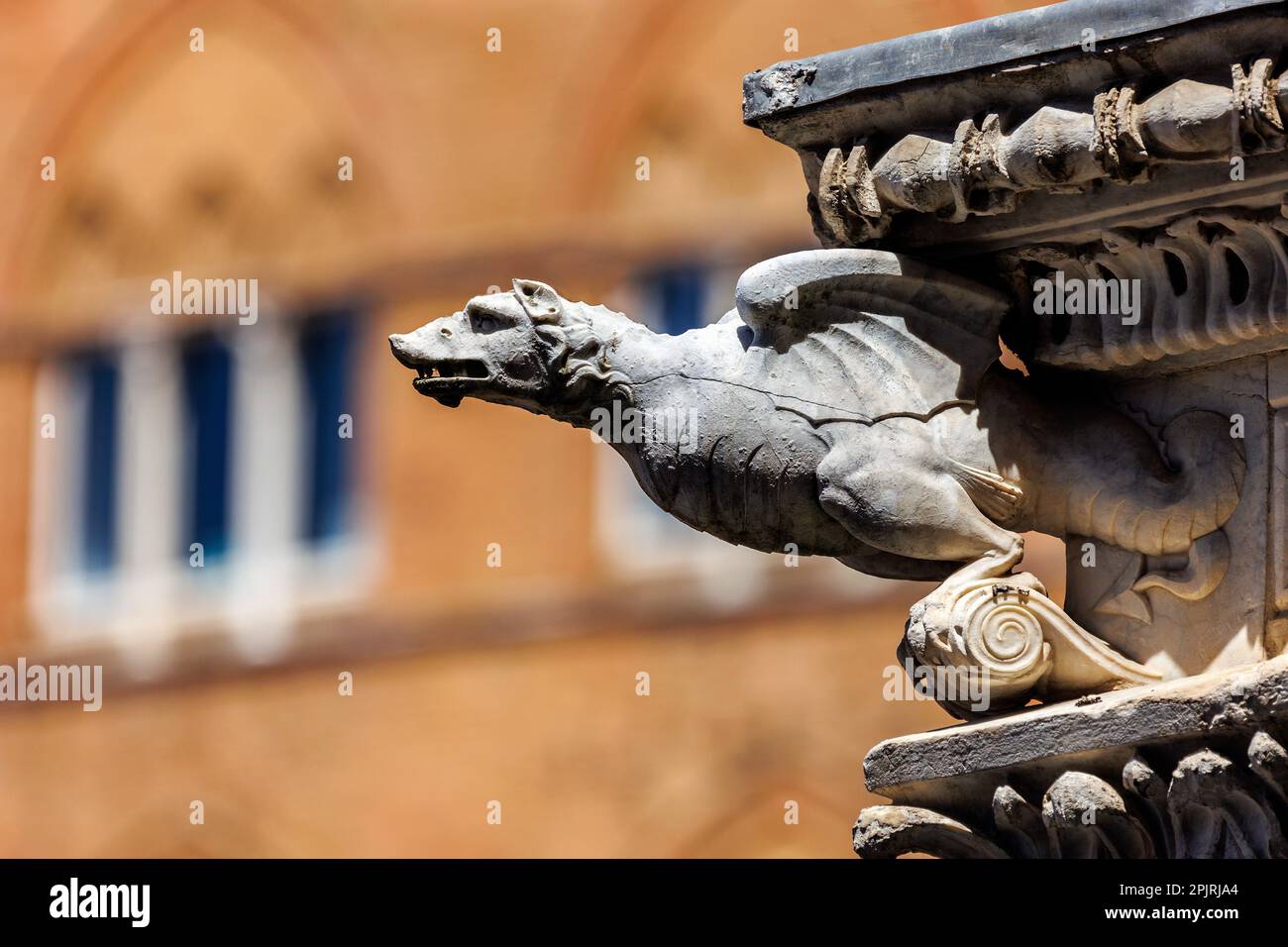 Details from Siena Stock Photo