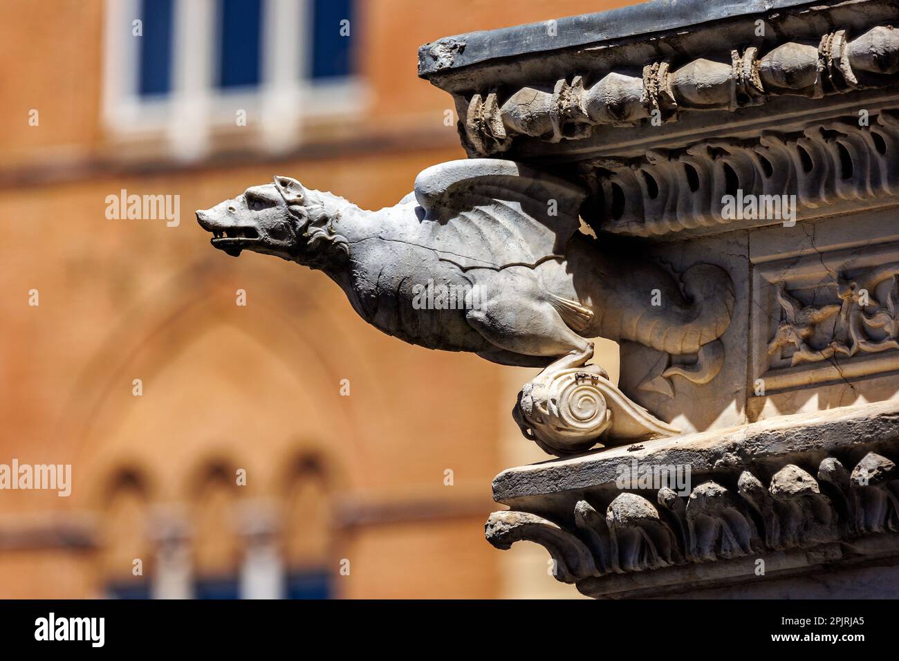 Details from Siena Stock Photo