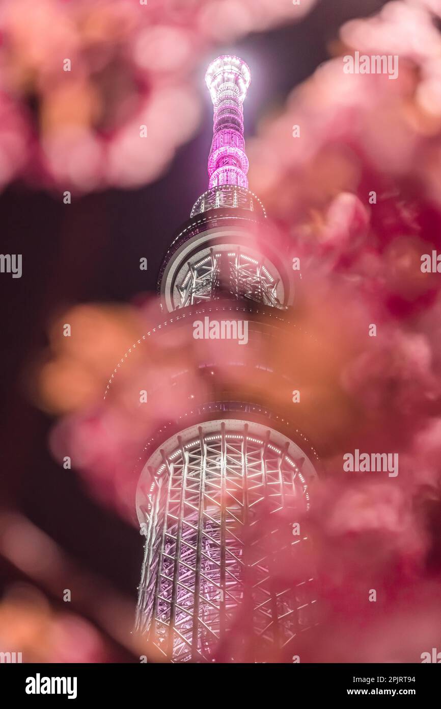 Tokyo tower lightning hi-res stock photography and images Tokyo tower lightning hi-res stock photography and images