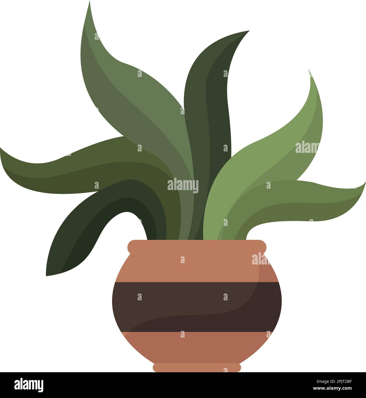 tropical houseplant in pot Stock Vector Image & Art - Alamy