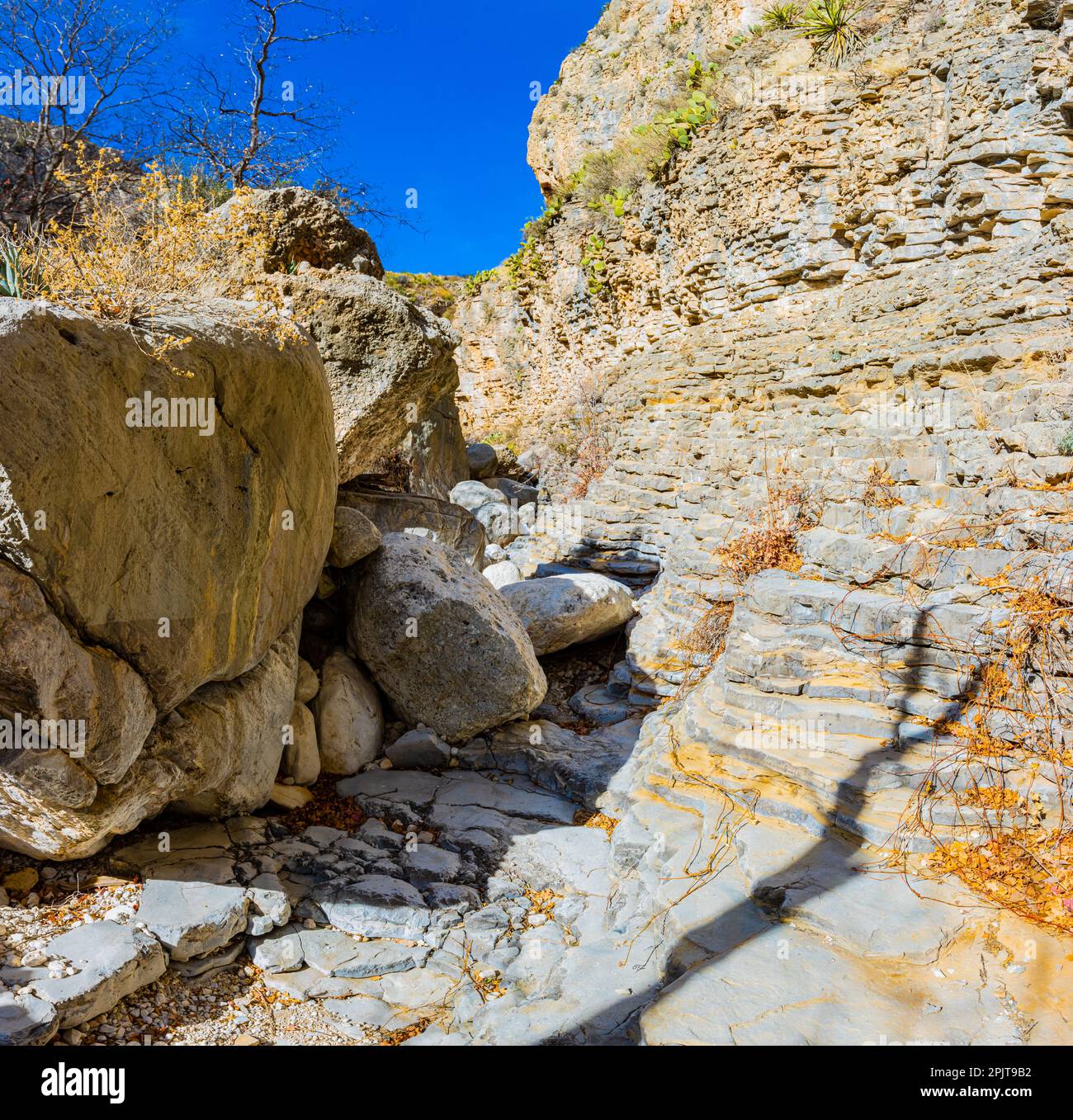 Hiking Trail Through Boulders and Streambed on The Devil's Hall Trail in Pine Springs Canyon, Guadalupe Mountains National Park, Texas, USA Stock Photo