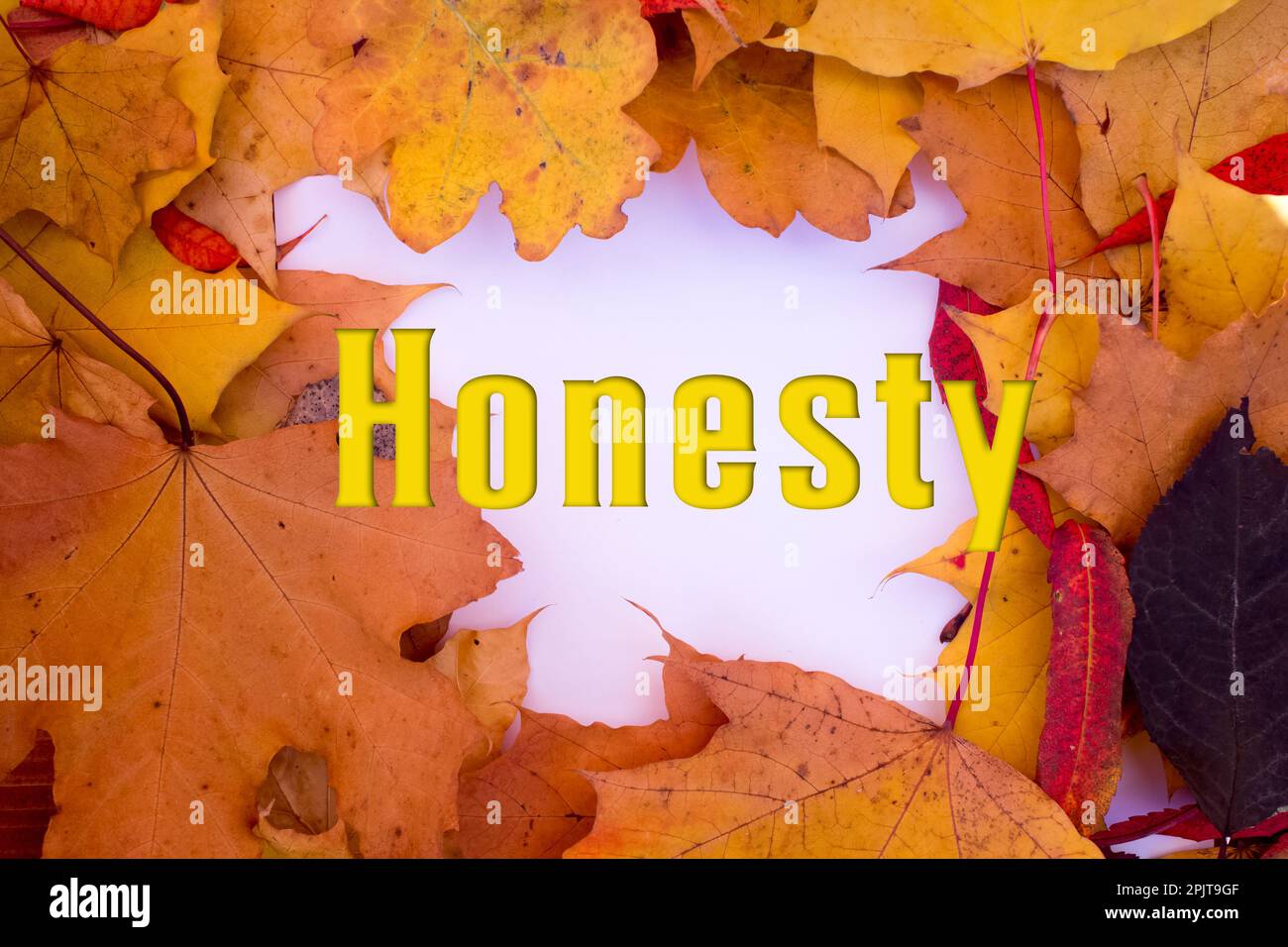 Autumn leaves, objects with Honesty text. Natural patterns, color design. Stock Photo