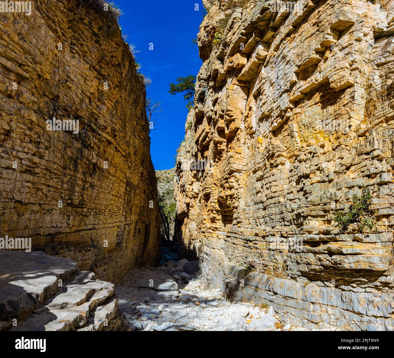 The Deep Terraced Walls of Devils Hall, Guadalupe Mountains National