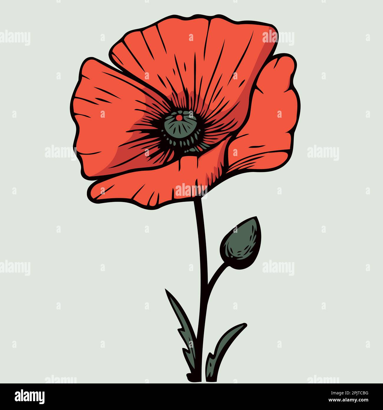 one-red-poppy-flower-minimalist-vector-illustration-stock-vector-image