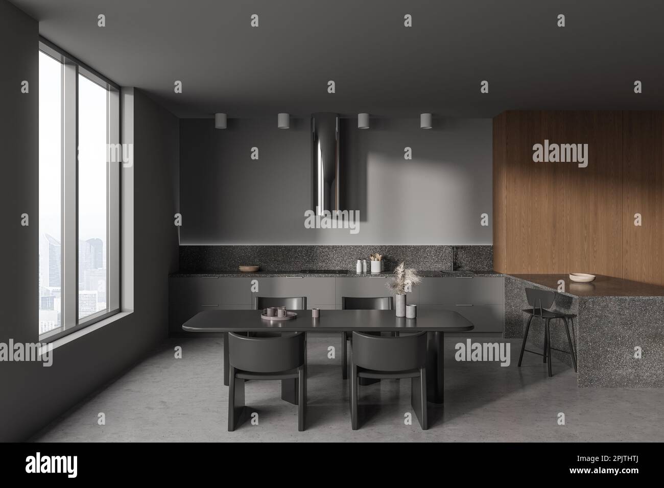 Dark home kitchen interior with cooking and dining area, bar island with chair. Modern eating zone design, grey concrete floor. Panoramic window on sk Stock Photo