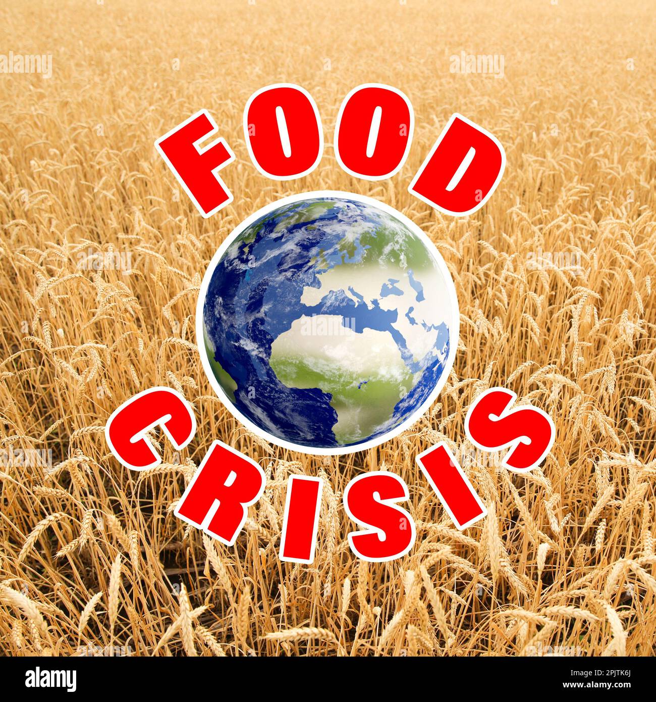 Global food crisis concept. Wheat field and illustration of Earth Stock