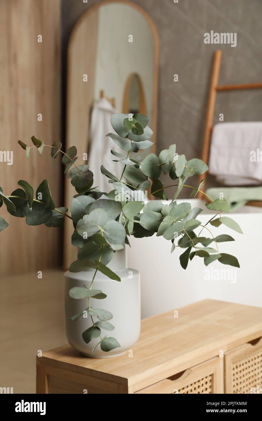 Beautiful eucalyptus branches in vase on wooden cabinet indoors ...