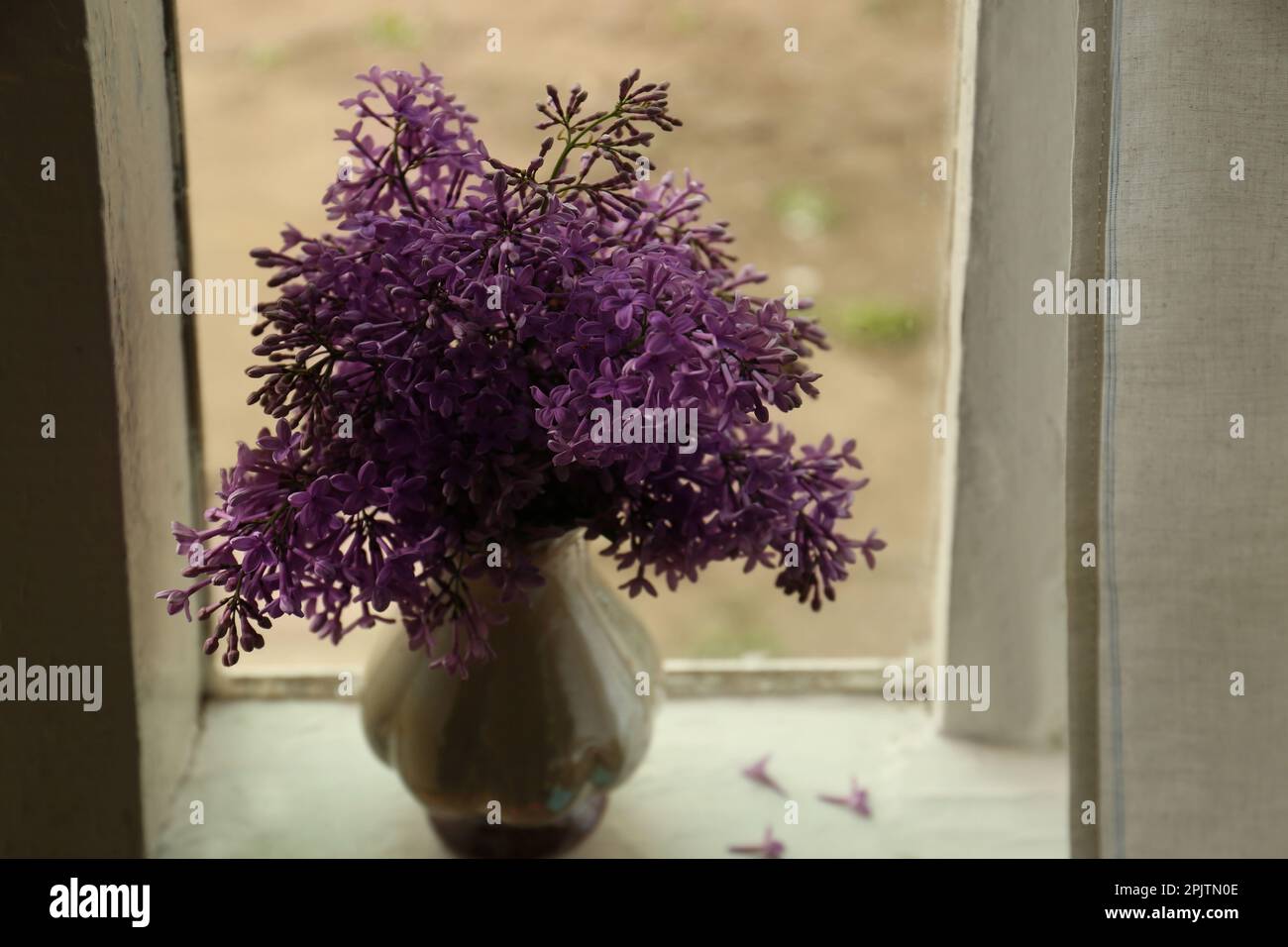 Beautiful lilac flowers in vase on window sill indoors Stock Photo - Alamy