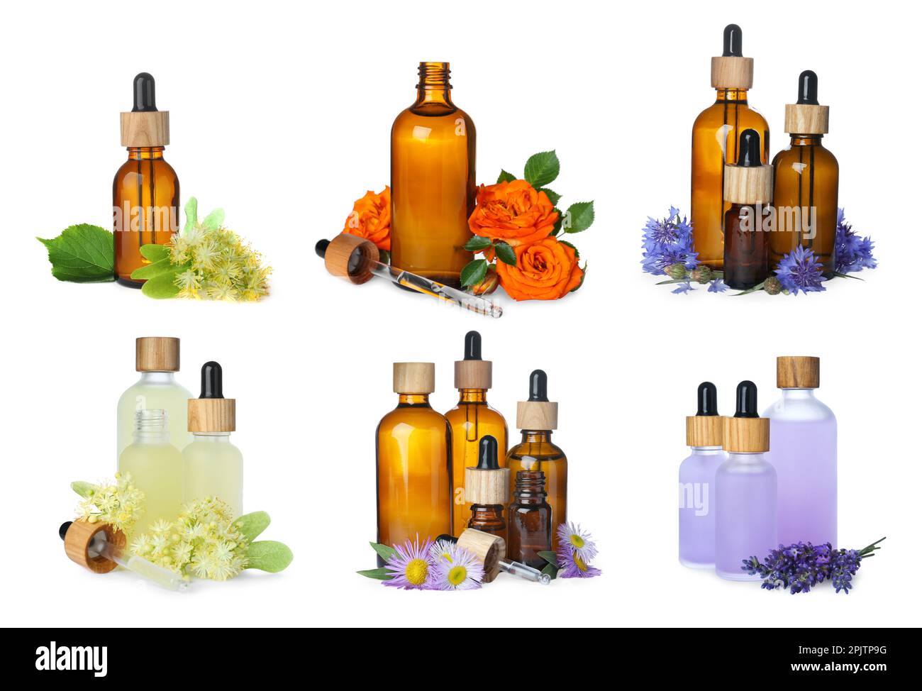 Set with different natural essential oils and flowers on white ...