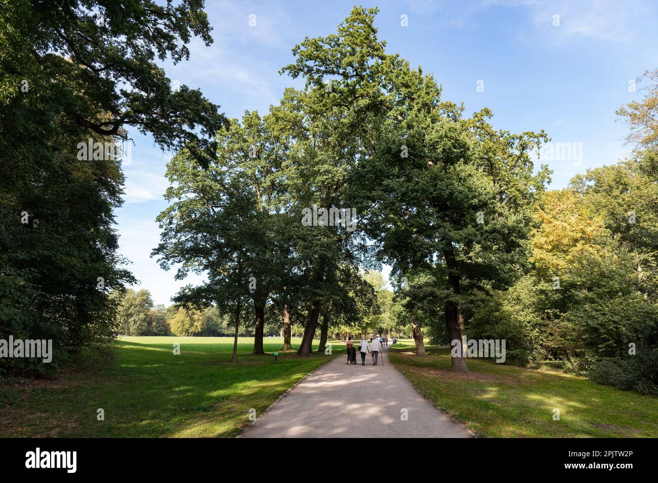 Historic 19th century Burger Park (Citizens Park) Grosse Park Wiese area with woodland, walking paths, meadows and lakes in parkland, Bremen. Stock Photo