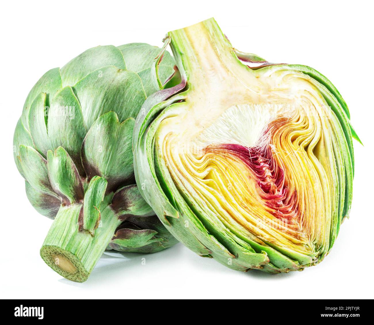 Green artichoke and artichoke heart isolated on white background Stock