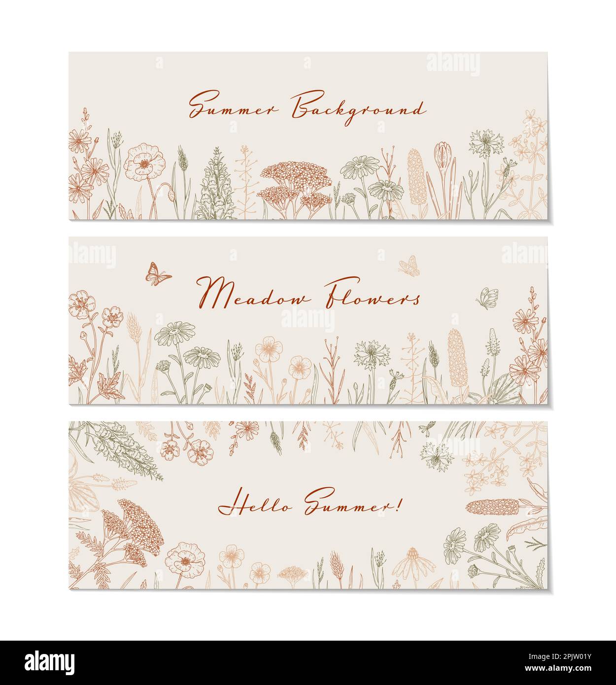 Meadow flowers background. Hand drawn field wildflowers border. Vector illustration in sketch style. Aesthetic botany horizontal design Stock Vector