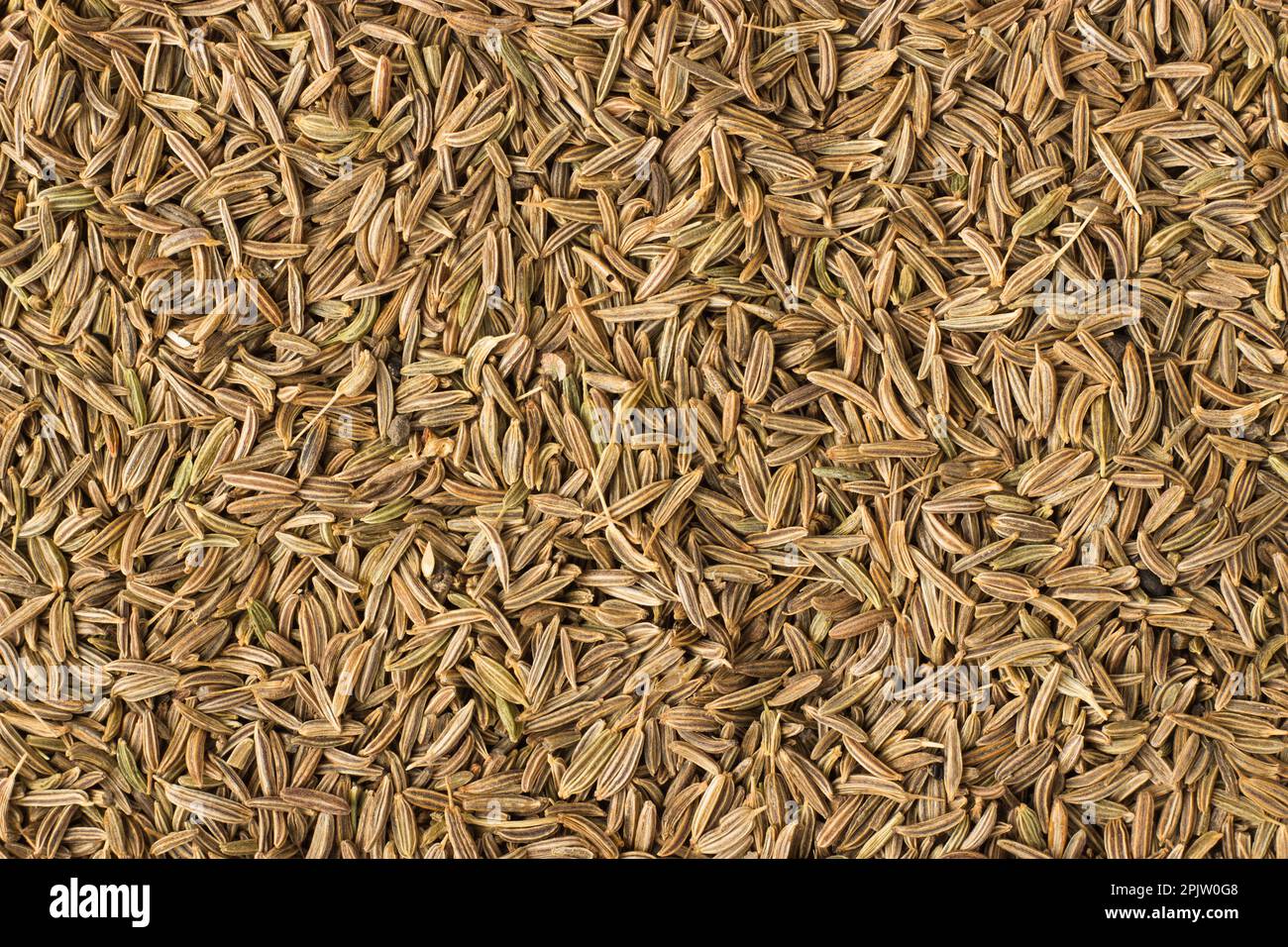 texture of caraway seed close-up, spice or seasoning as background ...