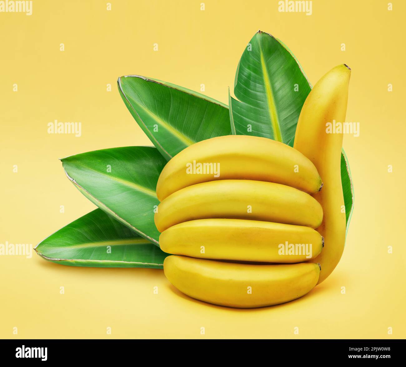 Banana thumb-up sign, green banana leaves on yellow background. Stock Photo