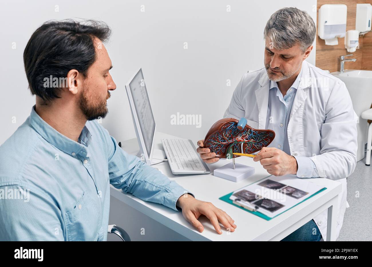 Gastroenterologist doctor explaining liver and gallbladder problems using anatomical model to patient during clinic visit. Treatment of gallbladder an Stock Photo