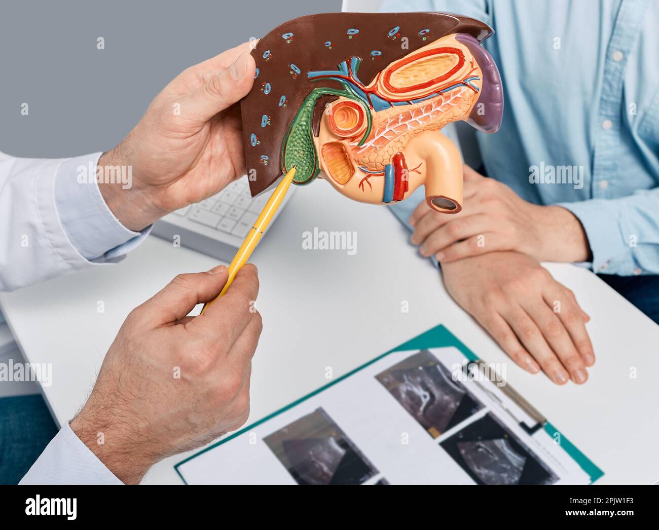 Treatment of gallbladder and liver diseases in medicine, conceptual image. Gastroenterologist showing anatomical model of liver with gallbladder to pa Stock Photo