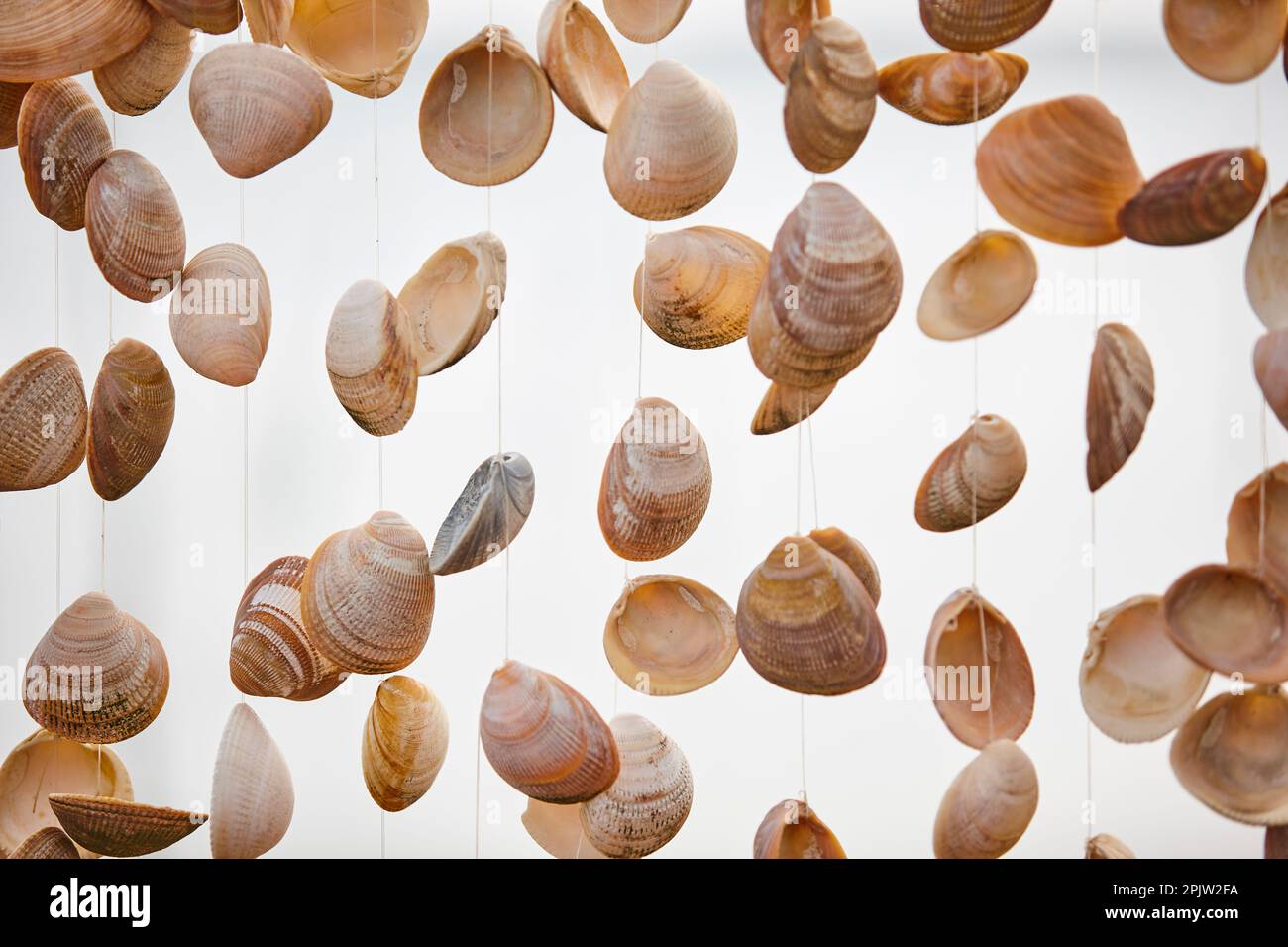 Seashell hanging decoration hi-res stock photography and images - Alamy