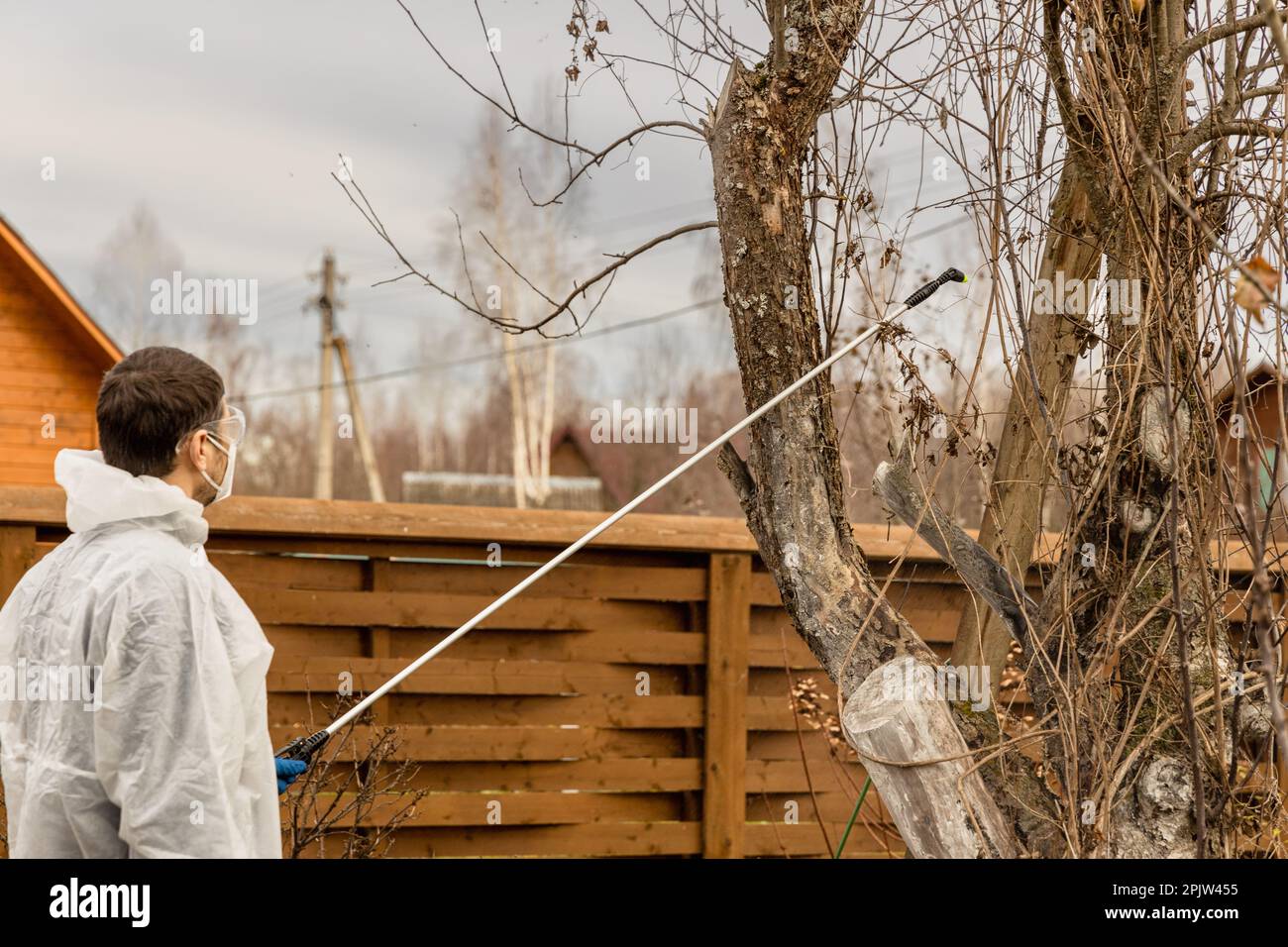 Using chemicals in the garden orchard gardener applying an insecticide ...