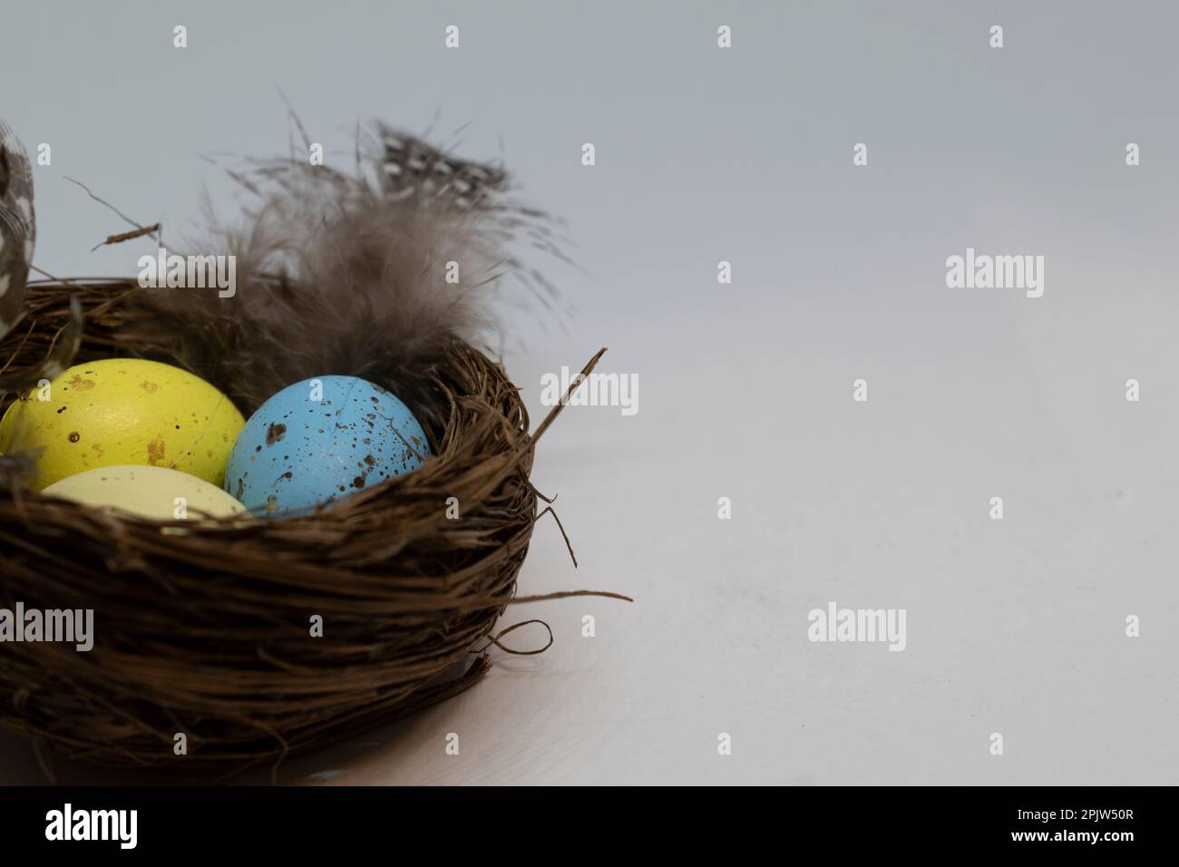 Easter eggs in a nest Stock Photo