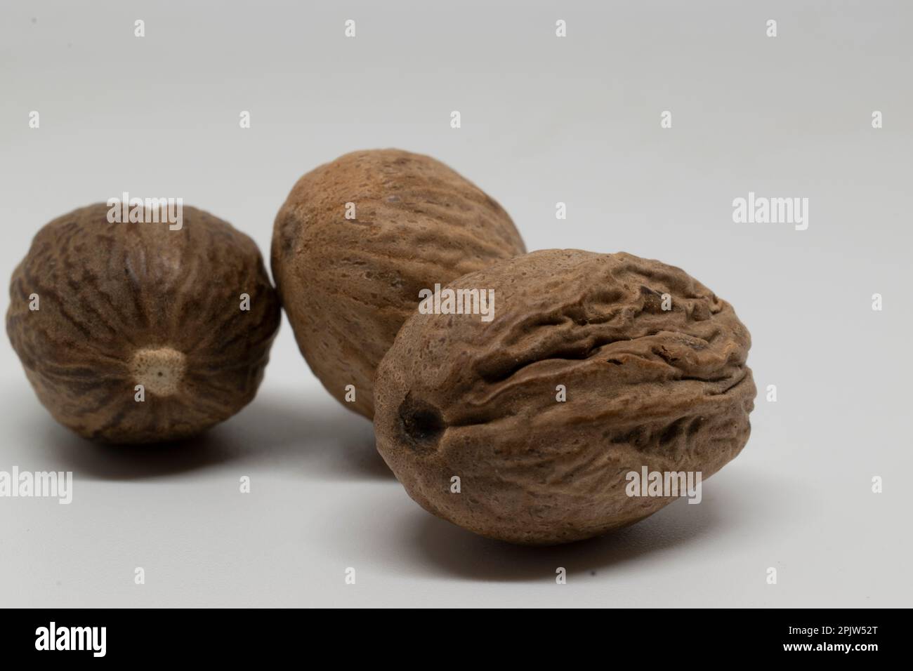Nutmeg white background Stock Photo Alamy