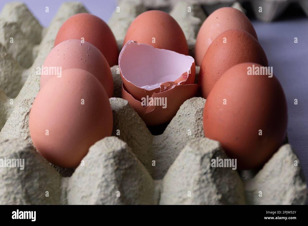 Eggs in paper box Stock Photo
