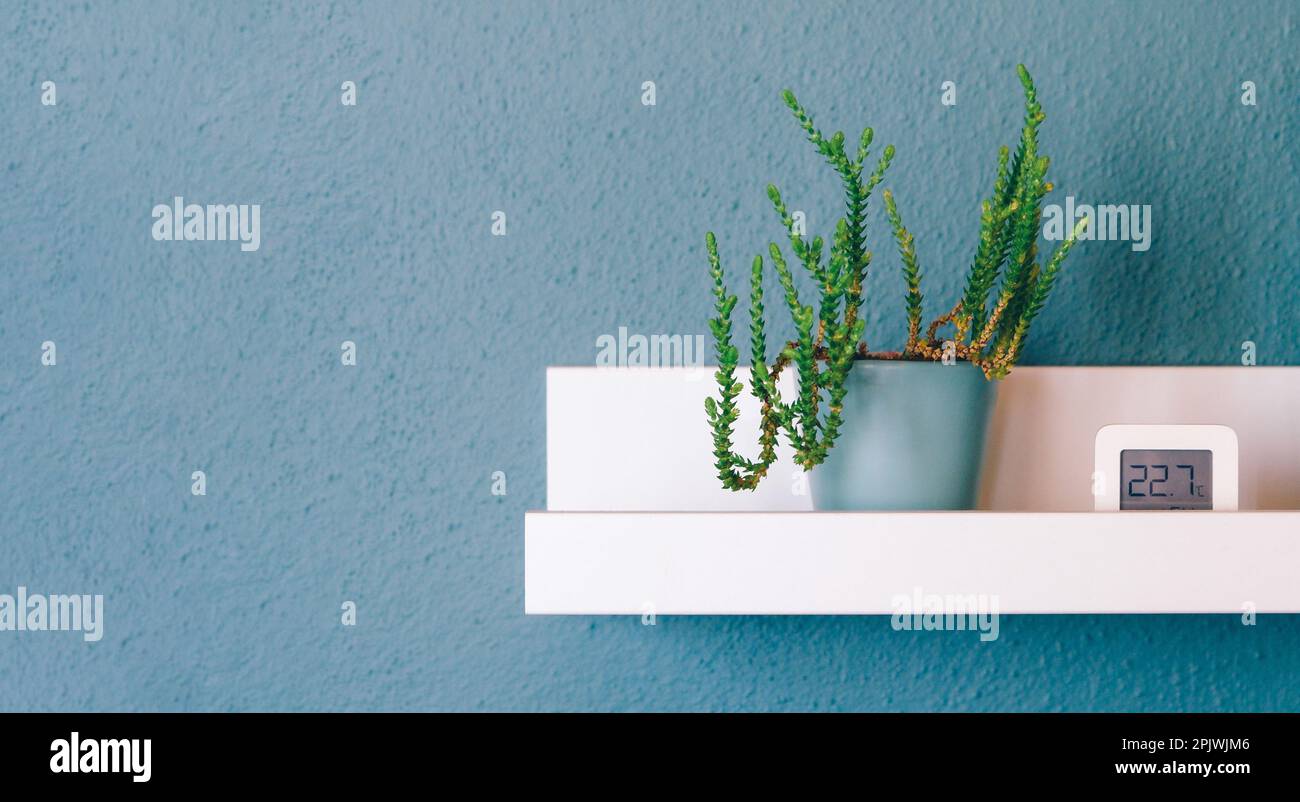 https://c8.alamy.com/comp/2PJWJM6/white-shelf-with-beautiful-houseplant-and-digital-thermometer-on-blue-green-wall-in-room-modern-composition-concept-of-copy-space-in-design-room-2PJWJM6.jpg