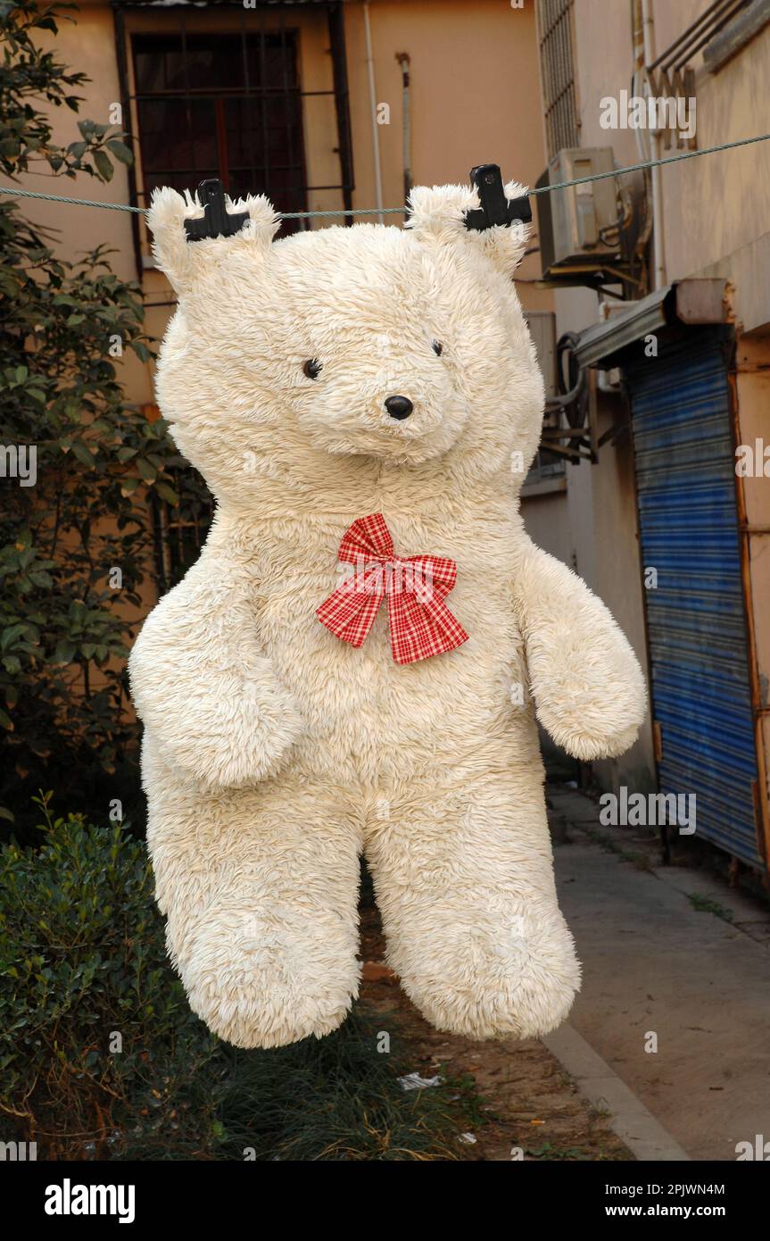 A teddy bear hanging out to dry. Shanghai, China, Asia Stock Photo