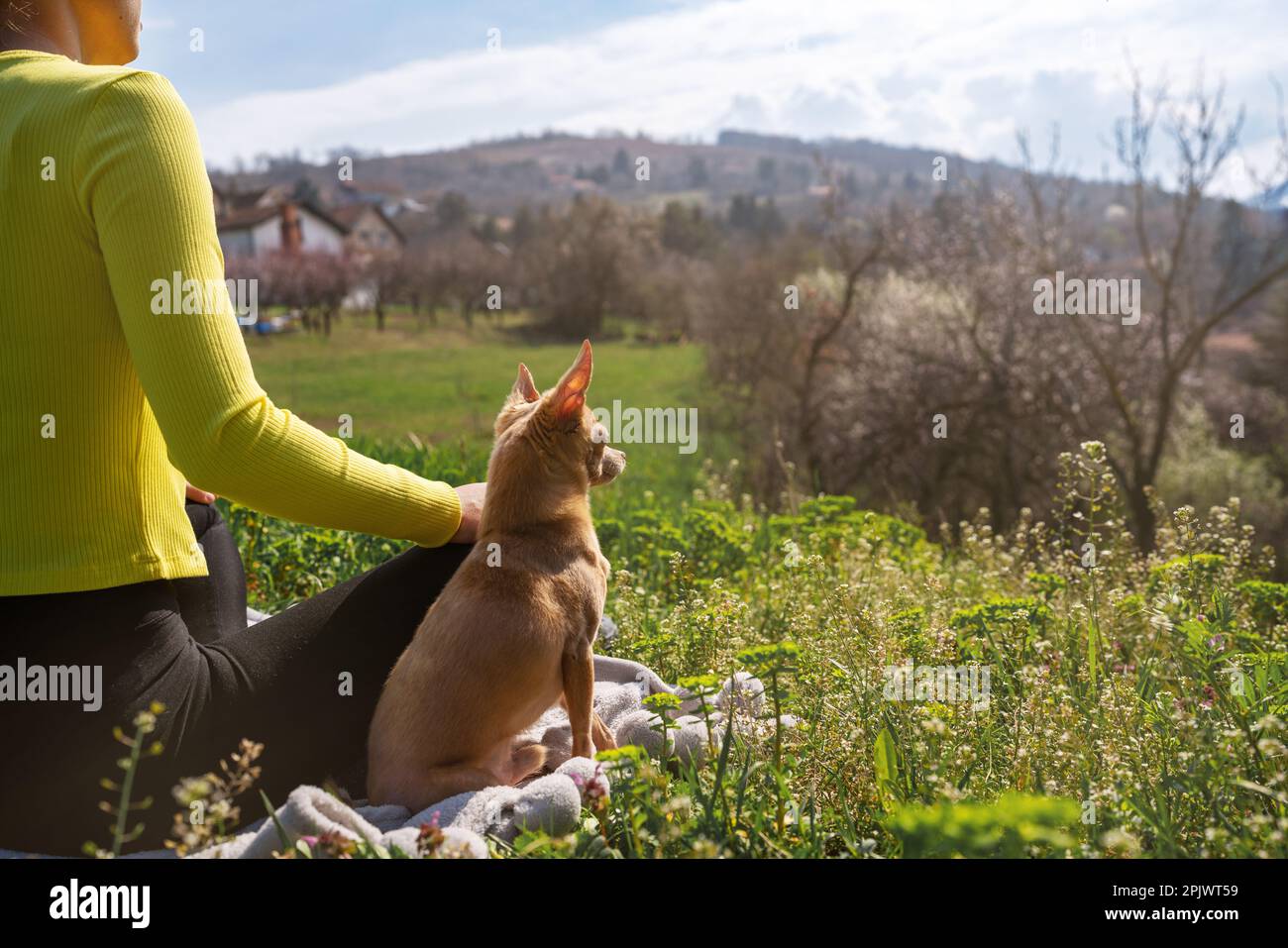 Woman pet owner and small dog sitting on green grass and enjoying nature in springtime, Contemplation by nature concept. Stock Photo