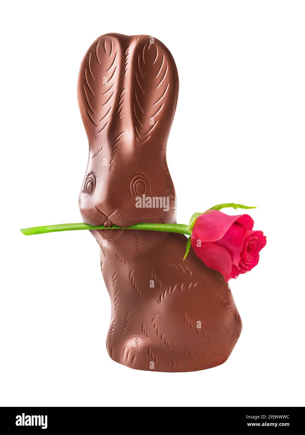 Chocolate Easter Bunny and red rose isolated on white background Stock Photo