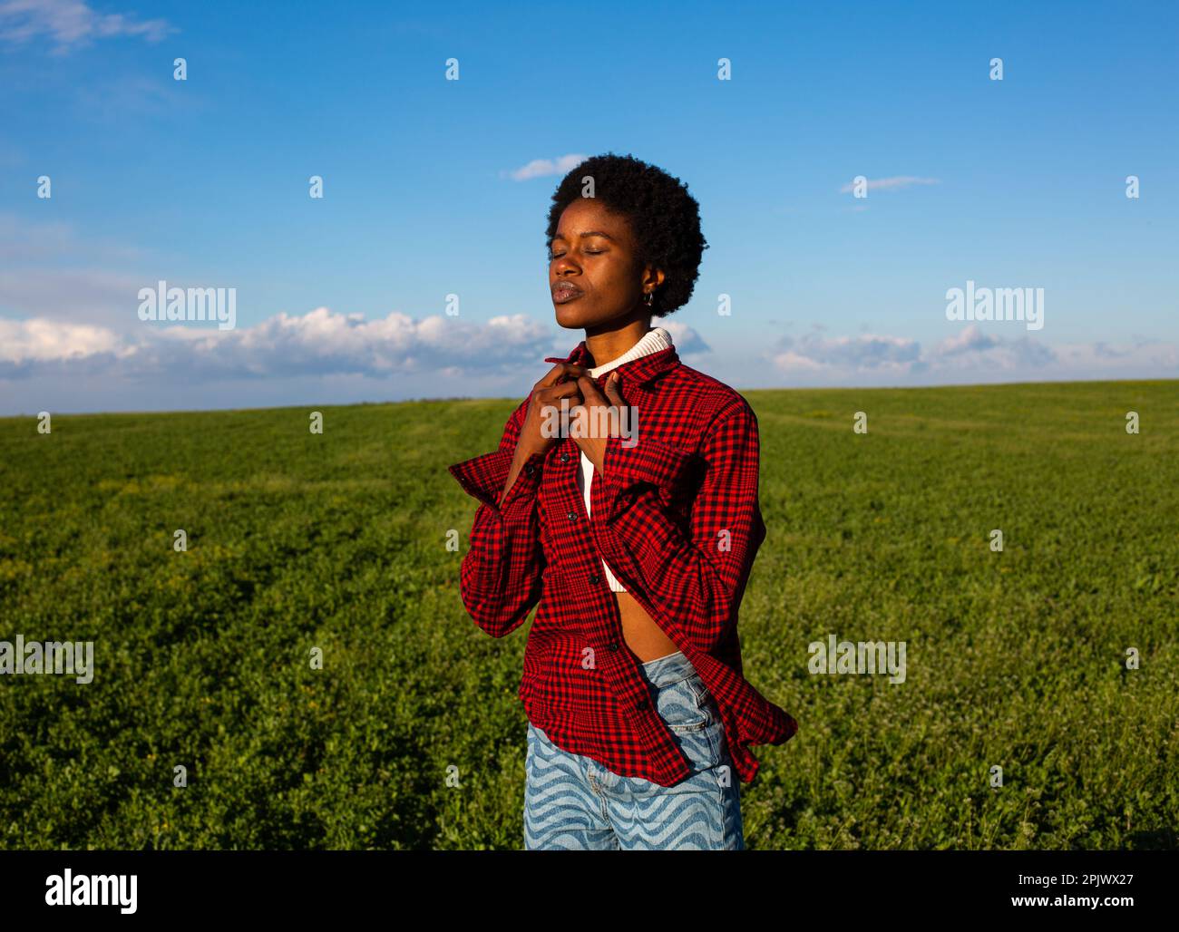 African american meadow flowers hi-res stock photography and images - Alamy
