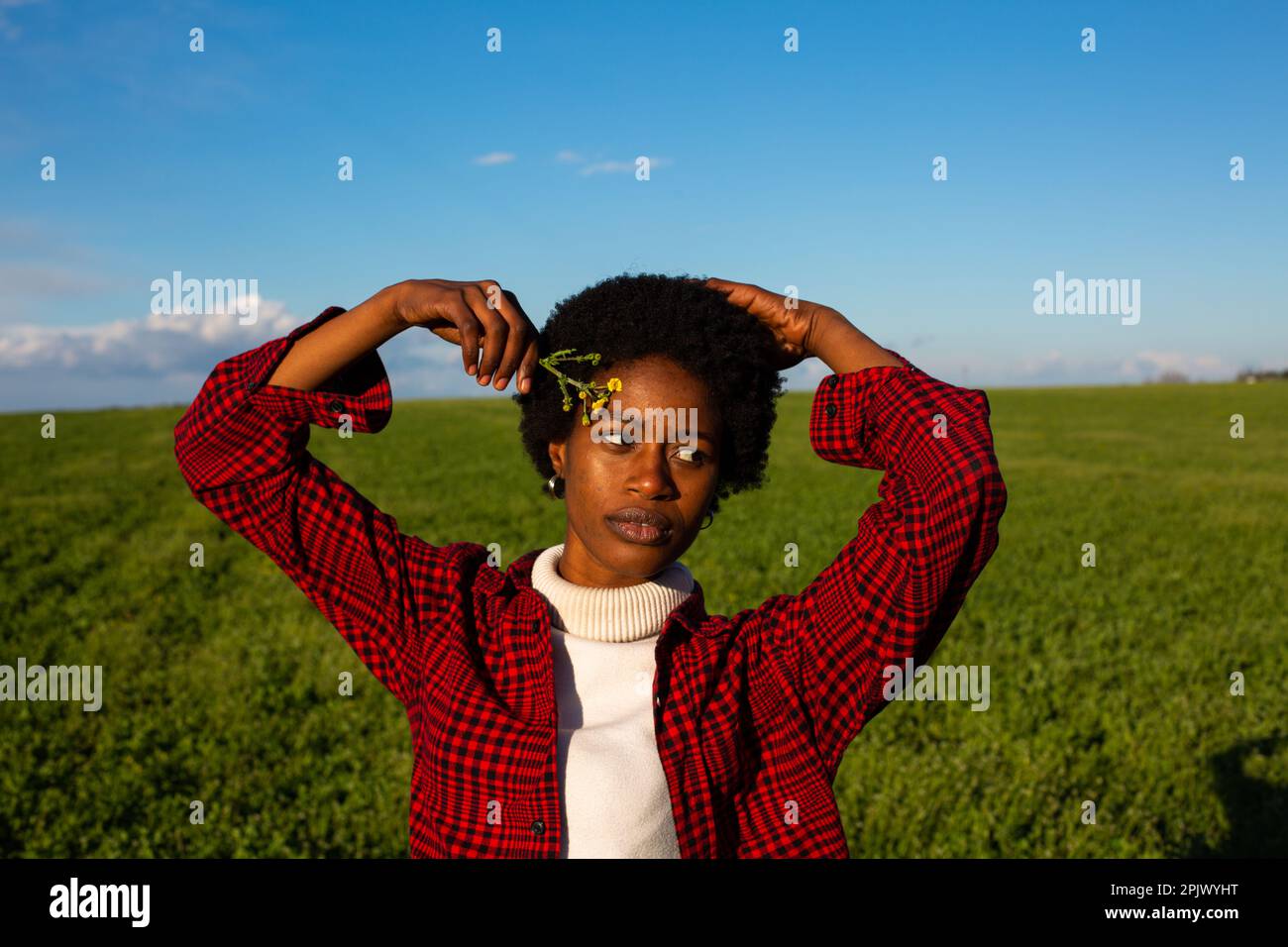 African american meadow flowers hi-res stock photography and images - Alamy