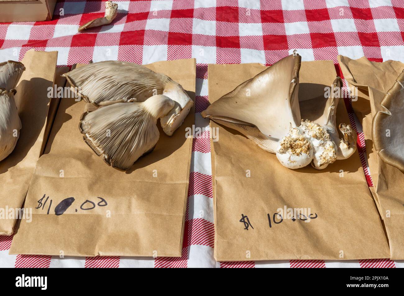 Fresh mushrooms for sale at the Farmers Market at Market Square in