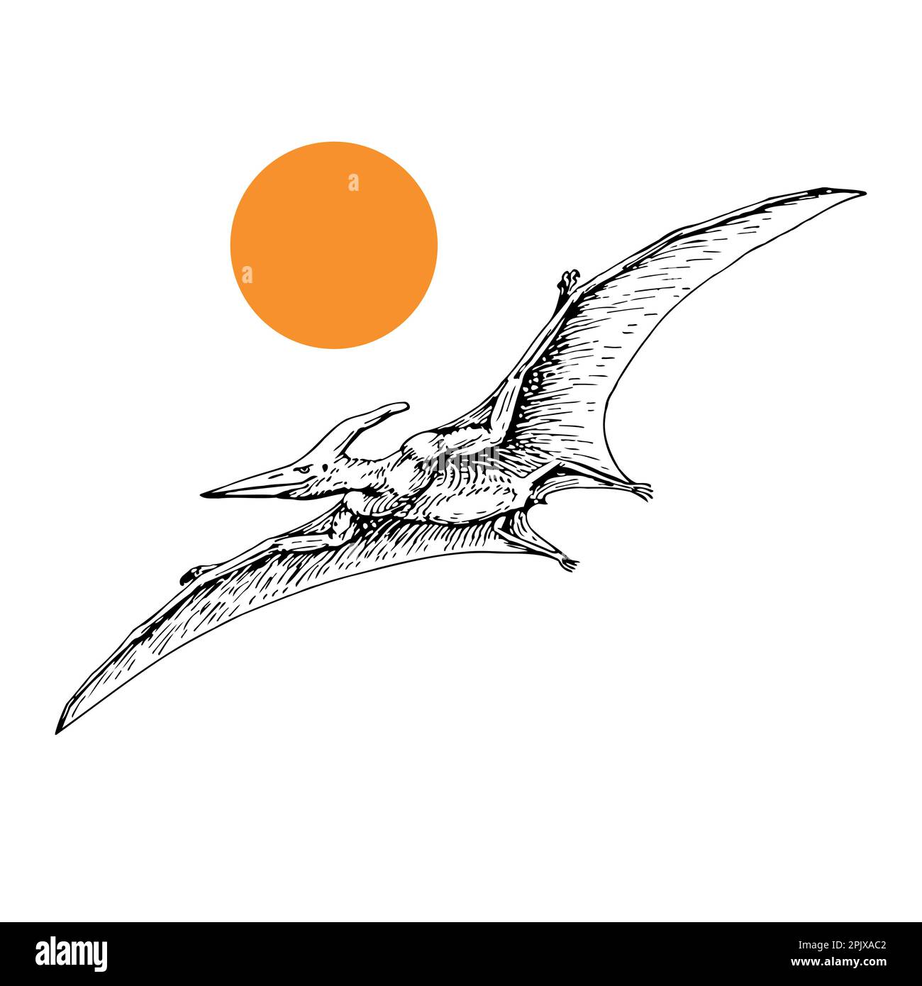 flying pterodactyl prehistoric dangerous creature of Jurassic period skeleton illustrations vector Stock Vector