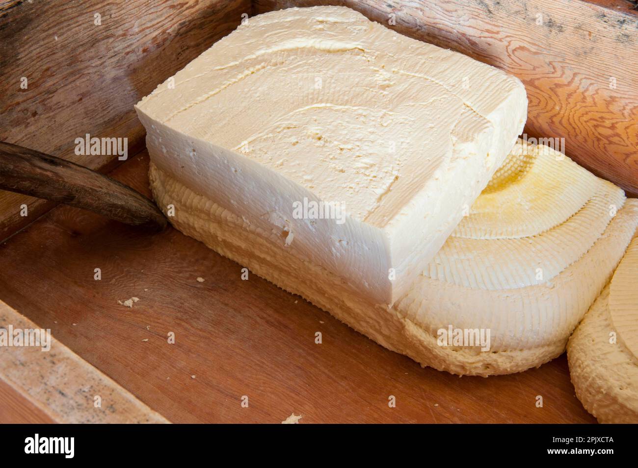 Processing of Ragusano DOP cheese with milk from Modica cows at the Floridia dairy. Ispica, Ragusa, Sicily, Italy, Europe. Stock Photo
