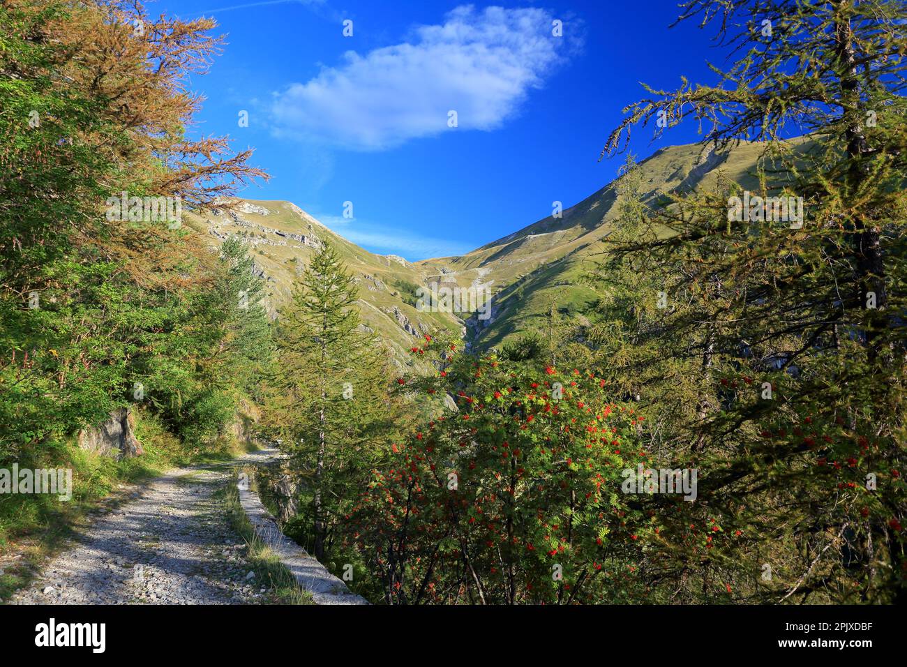 LOT 9 CARTES Postales neuves Parc National du Mercantour St Martin Vésubie EUR 3,20 - PicClick FR