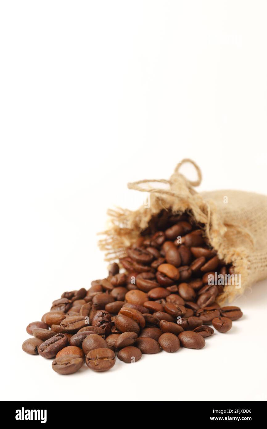 Airo Raffia Bag - Mocha, Natural, Tea