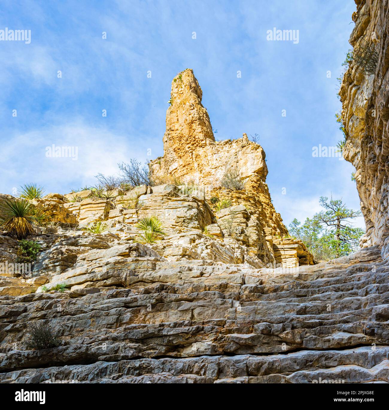 The Limestone Terraced Hiker's Staircase on The Devil's Hall Trail in Pine Springs Canyon, Guadalupe Mountains National Park, Texas, USA Stock Photo
