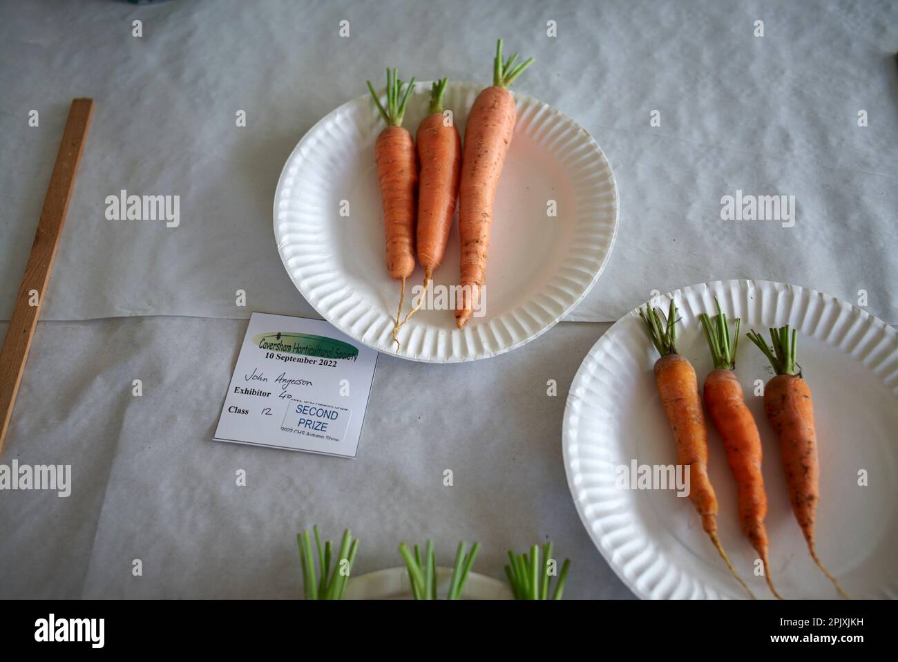 Prize-winning carrots at Emmer Green, Reading UK,  Horticultural show Stock Photo