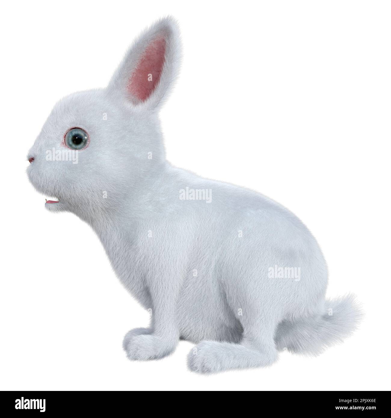 3D rendering of a white bunny isolated on white background Stock Photo ...