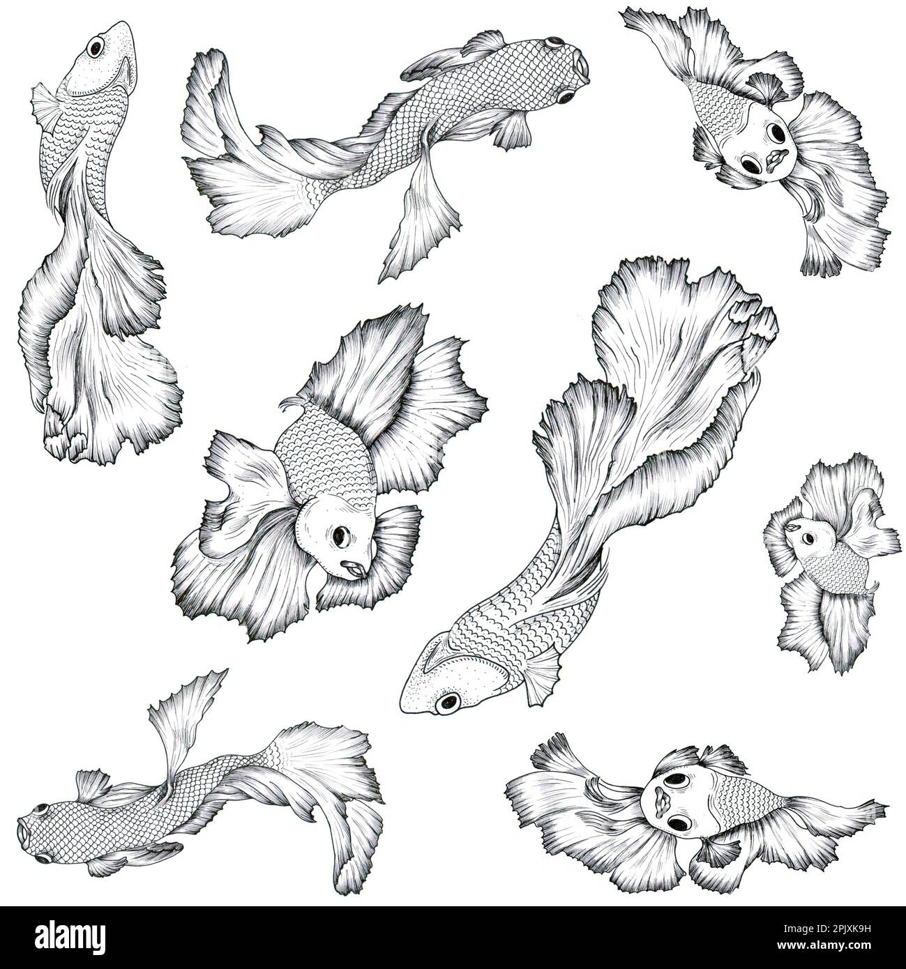 Fish graphic illustration pattern black and white. Can be used like ...