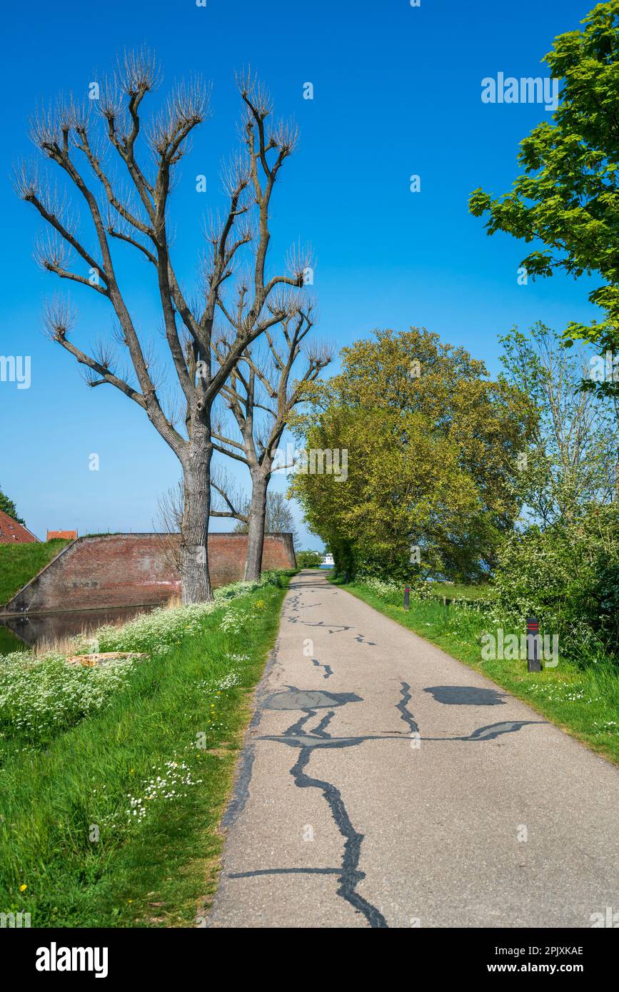 An empty road leading into the distance high on top of a Dutch dike in springtime. Countryside scenic landscape. Stock Photo