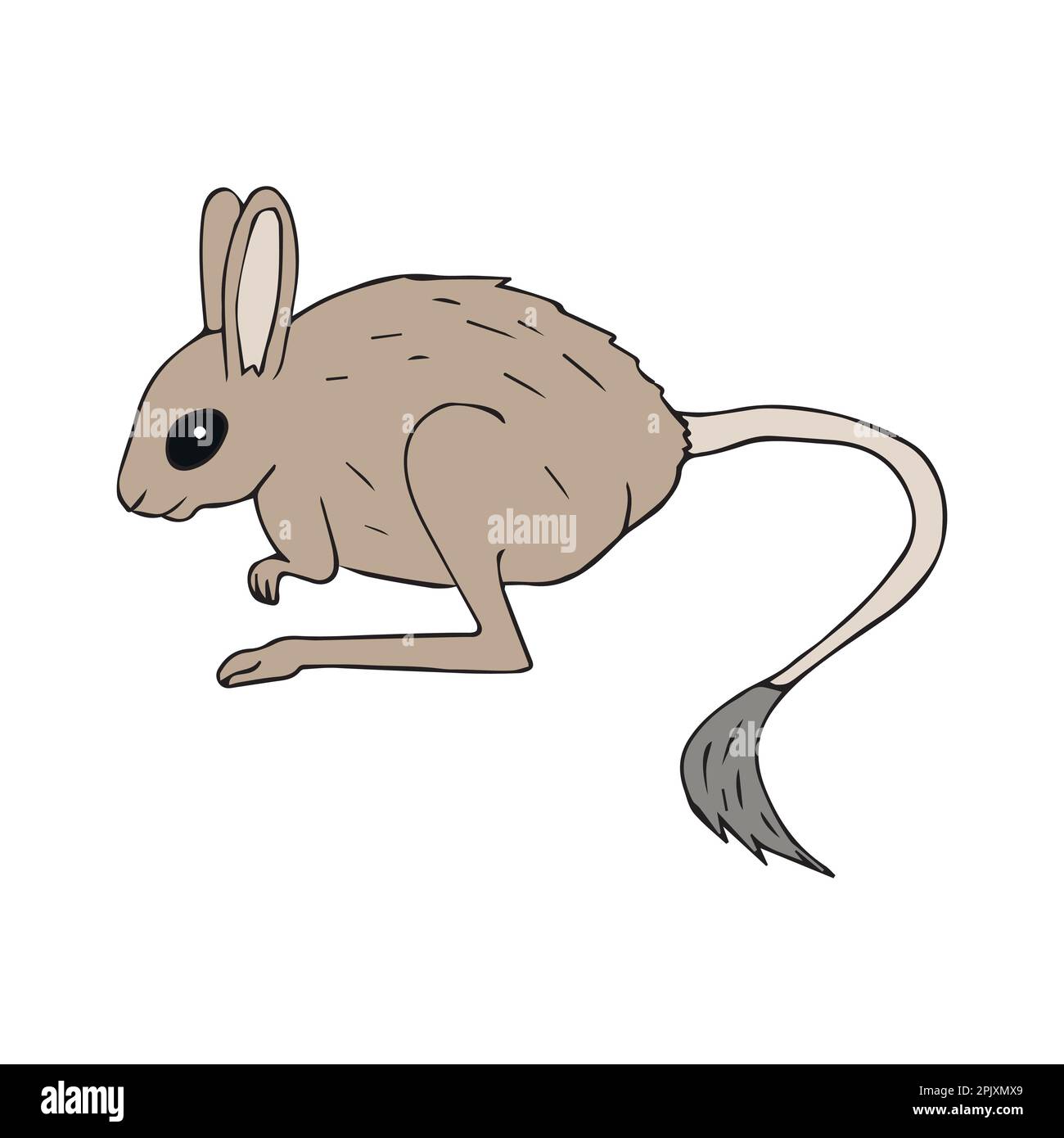 Vector hand drawn doodle sketch colored Jerboa isolated on white