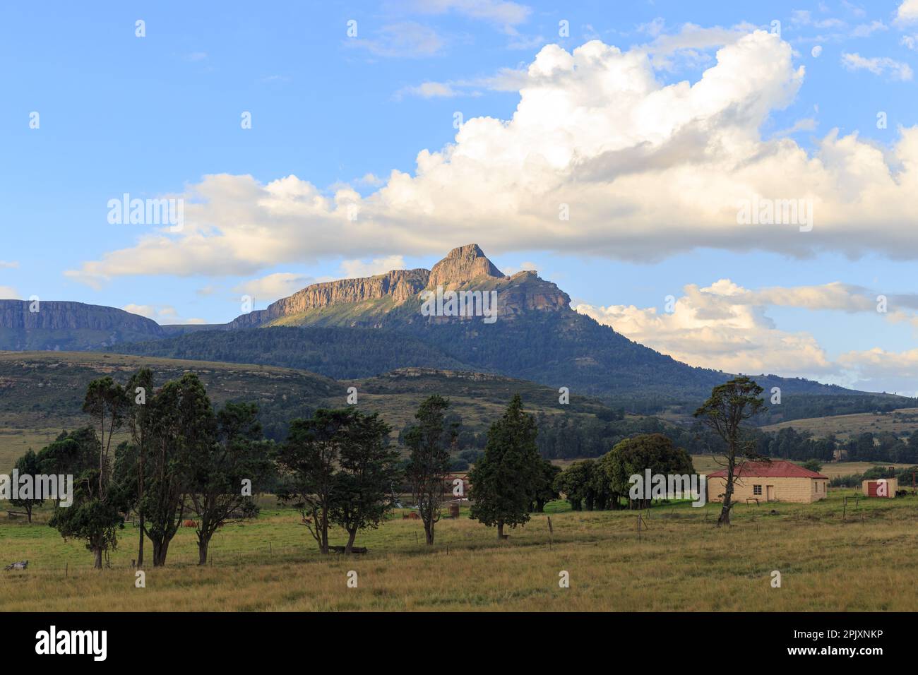 Harrismith, Free State, South Africa - April the 1st 2023: Platberg Mountain Reserve. Stock Photo