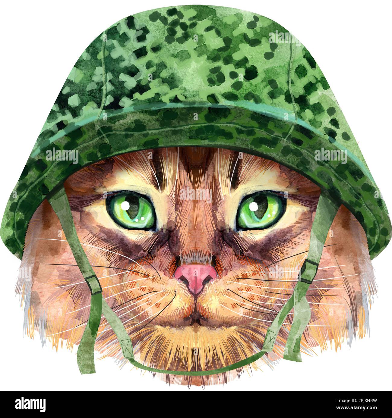 Cute cat in Military helmet.. Cat for tshirt graphics. Watercolor