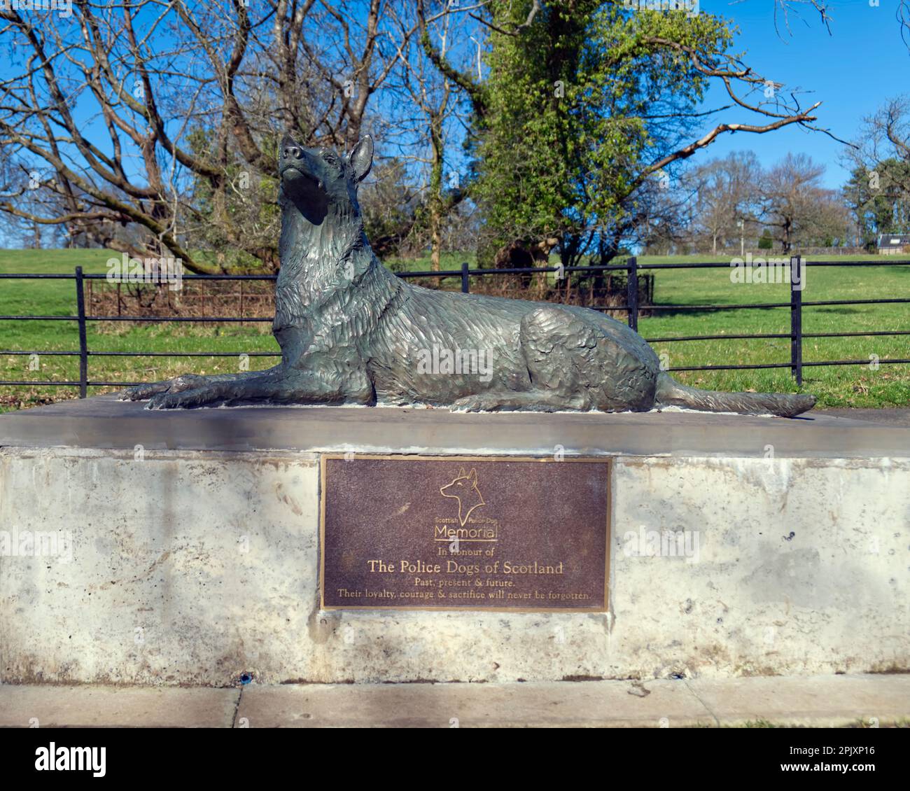 Scottish Police Dog Memorial statue by artist John Doubleday, Pollok