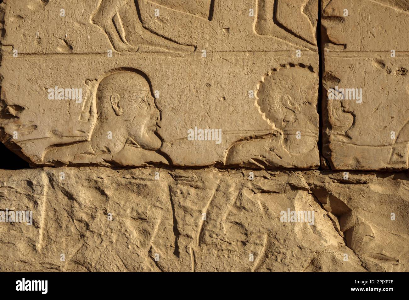 Detail of battle scenes in forecourt of Temple of Seti I, Abydos, Egypt Stock Photo